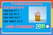 CAS 5337-93-9 4'-Methylpropiophenone High Quality Liquid Fac